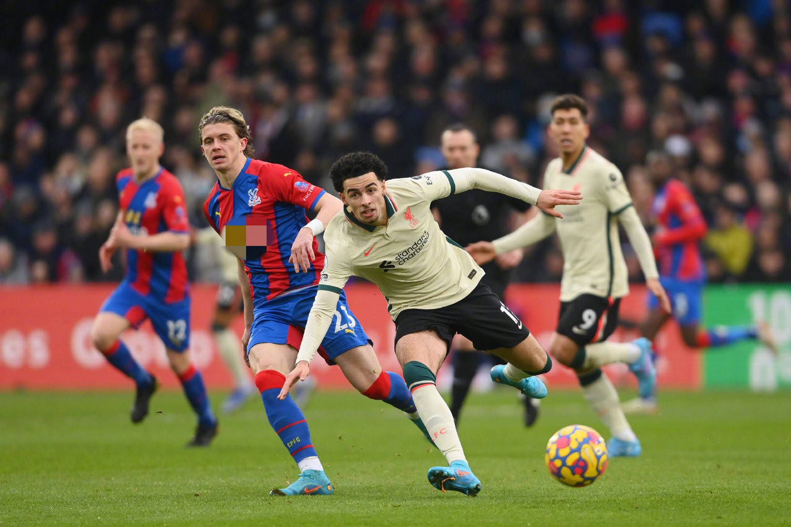 为他举办了 为他举办了